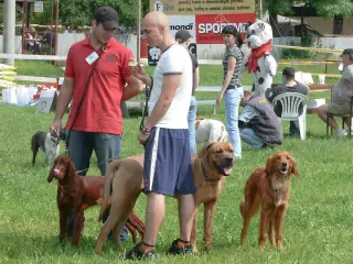 29.5.2010 - Štětský voříšek 2010 – fotografie 24