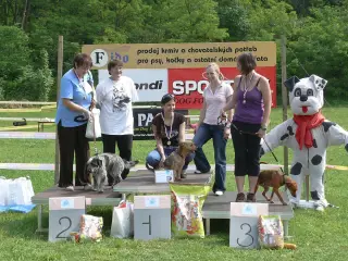 29.5.2010 - Štětský voříšek 2010 – fotografie 28