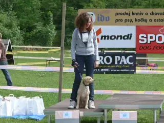 29.5.2010 - Štětský voříšek 2010 – fotografie 31