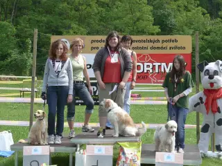 29.5.2010 - Štětský voříšek 2010 – fotografie 33