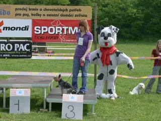 29.5.2010 - Štětský voříšek 2010 – fotografie 35