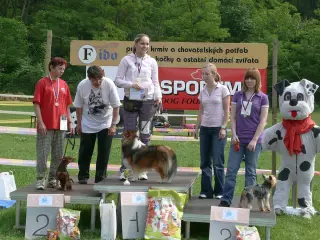 29.5.2010 - Štětský voříšek 2010 – fotografie 38