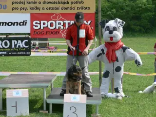 29.5.2010 - Štětský voříšek 2010 – fotografie 41