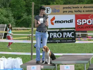 29.5.2010 - Štětský voříšek 2010 – fotografie 42