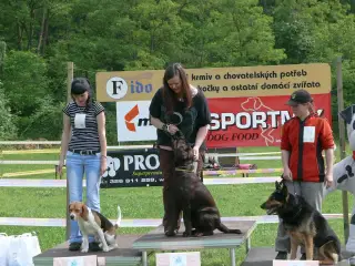 29.5.2010 - Štětský voříšek 2010 – fotografie 43