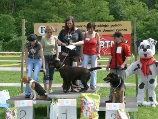 29.5.2010 - Štětský voříšek 2010 – fotografie 44