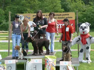 29.5.2010 - Štětský voříšek 2010 – fotografie 45