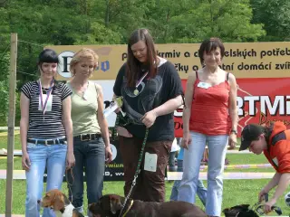 29.5.2010 - Štětský voříšek 2010 – fotografie 46