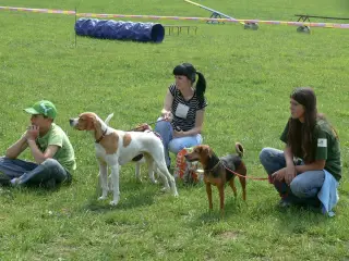 29.5.2010 - Štětský voříšek 2010 – fotografie 48