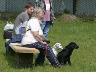 29.5.2010 - Štětský voříšek 2010 – fotografie 57