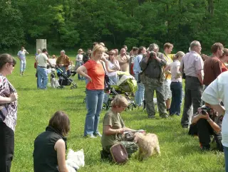 29.5.2010 - Štětský voříšek 2010 – fotografie 58