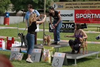 29.5.2010 - Štětský voříšek 2010 - II – fotografie 17