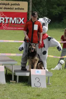 29.5.2010 - Štětský voříšek 2010 - II – fotografie 28