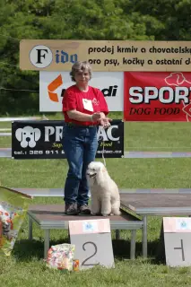 29.5.2010 - Štětský voříšek 2010 - II – fotografie 65