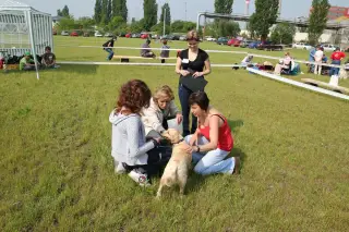 29.5.2010 - Štětský voříšek 2010 - III – fotografie 16
