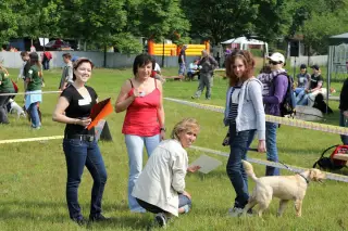 29.5.2010 - Štětský voříšek 2010 - III – fotografie 18