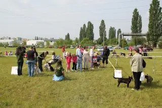 29.5.2010 - Štětský voříšek 2010 - III – fotografie 19