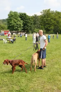 29.5.2010 - Štětský voříšek 2010 - III – fotografie 24