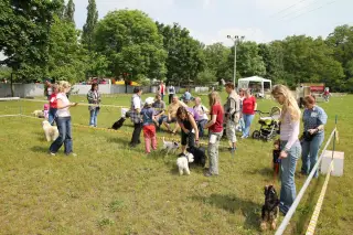 29.5.2010 - Štětský voříšek 2010 - III – fotografie 25