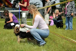 29.5.2010 - Štětský voříšek 2010 - III – fotografie 26