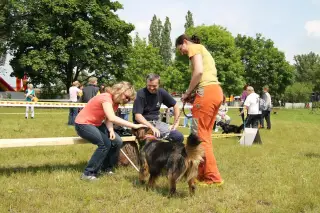 29.5.2010 - Štětský voříšek 2010 - III – fotografie 29