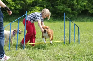 29.5.2010 - Štětský voříšek 2010 - III – fotografie 34