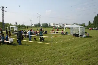 Vorisek_2010_008
