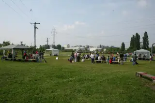 Vorisek_2010_012