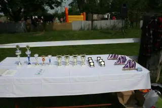 Vorisek_2010_013