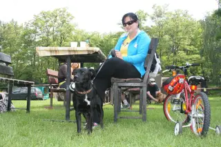 Vorisek_2010_039