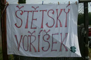 Vorisek_2010_041