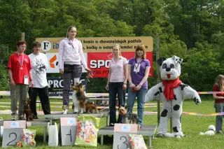 Vorisek_2010_048