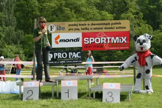 Vorisek_2010_049