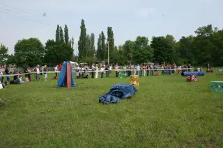 Vorisek_2010_050