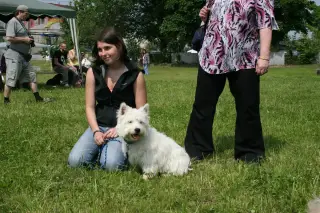 Vorisek_2010_051