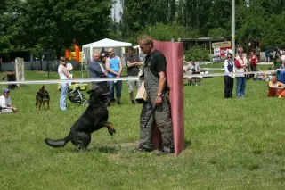 Vorisek_2010_068