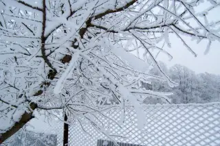 4.12.2010 - zima na cvičáku – fotografie 1