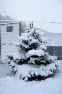 4.12.2010 - zima na cvičáku – fotografie 3