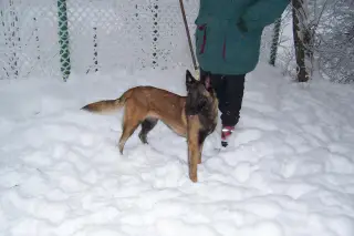 4.12.2010 - zima na cvičáku – fotografie 4