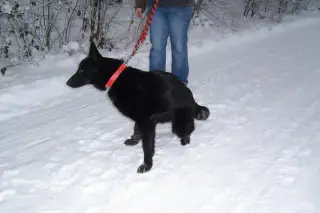 4.12.2010 - zima na cvičáku – fotografie 7