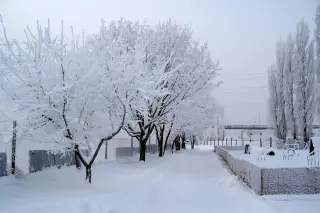 4.12.2010 - zima na cvičáku – fotografie 13