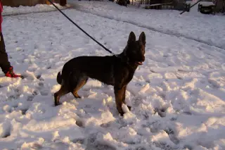11.12.2010 - zima na cvičáku – fotografie 4