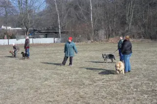 26.2.2011 - další cvičební den – fotografie 1
