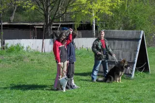 16.4.2011 - konečně opět jaro – fotografie 3