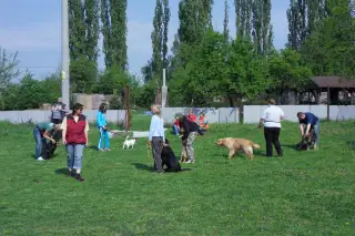 30.4.2011 - další povedený cvičební den – fotografie 4