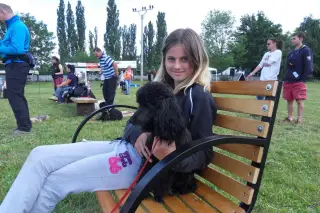 28.5.2011 - Štětský voříšek 2011 I – fotografie 14