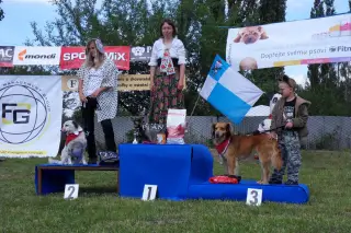 28.5.2011 - Štětský voříšek 2011 I – fotografie 25