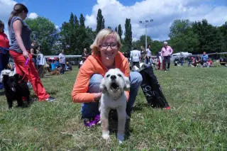 28.5.2011 - Štětský voříšek 2011 I – fotografie 29
