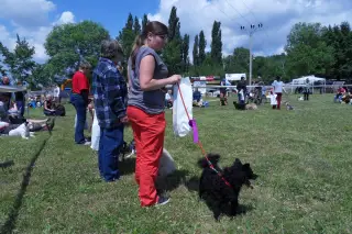 28.5.2011 - Štětský voříšek 2011 I – fotografie 30