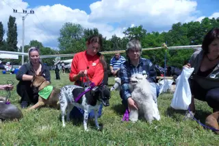 28.5.2011 - Štětský voříšek 2011 I – fotografie 37